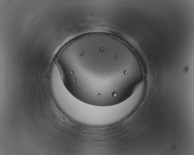 X0000116611260200912312110