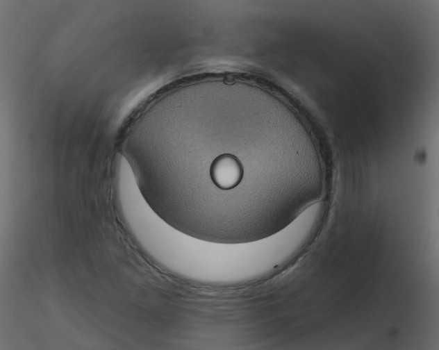 X0000116611261200912312110