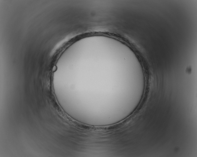 X0000116611262200912312110