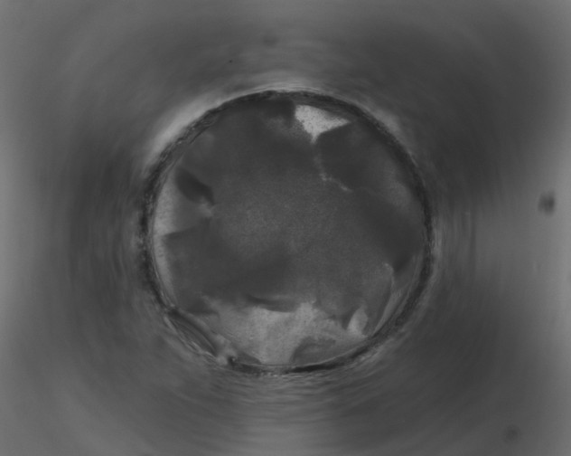 X0000116611263200912312110