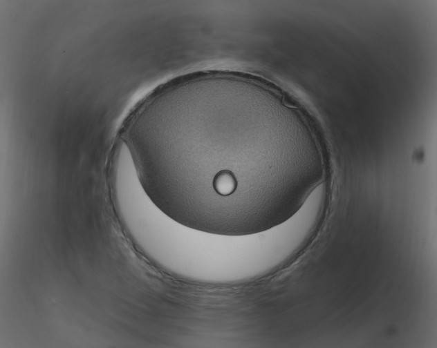 X0000116611264200912312110