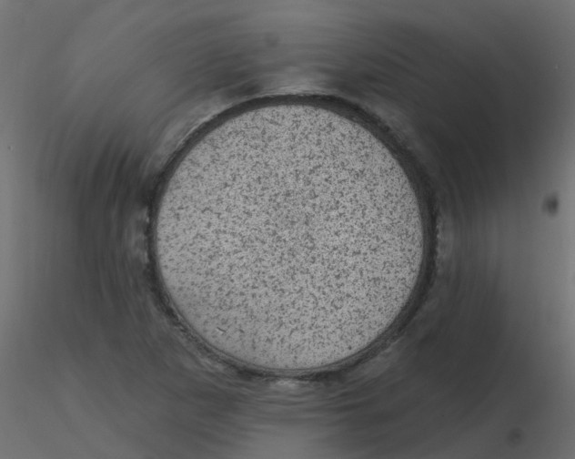 X0000116611265200912312110