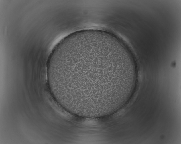 X0000116611267200912312110