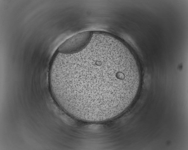 X0000116611268200912312110