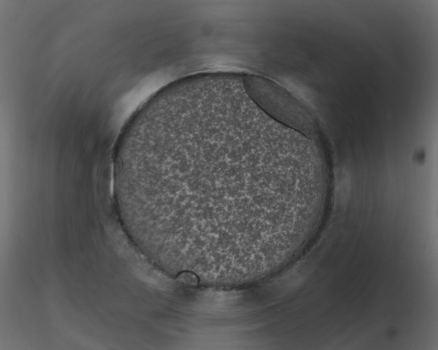 X0000116611269200912312110