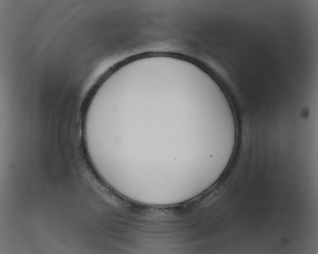 X0000116611270200912312110