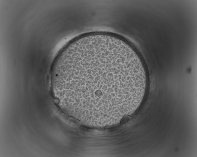 X0000116611271200912312110