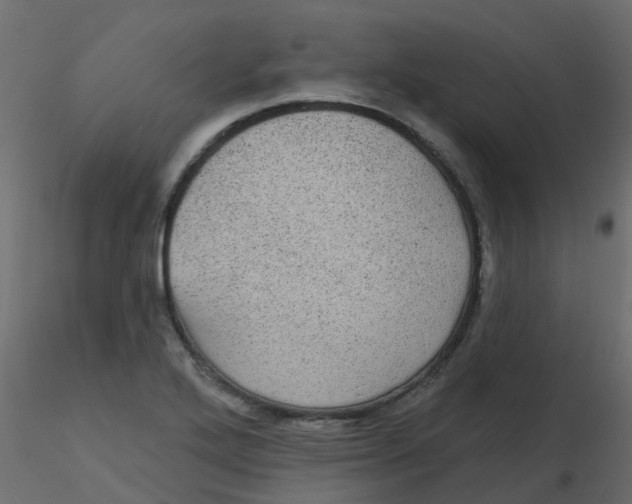 X0000116611272200912312110