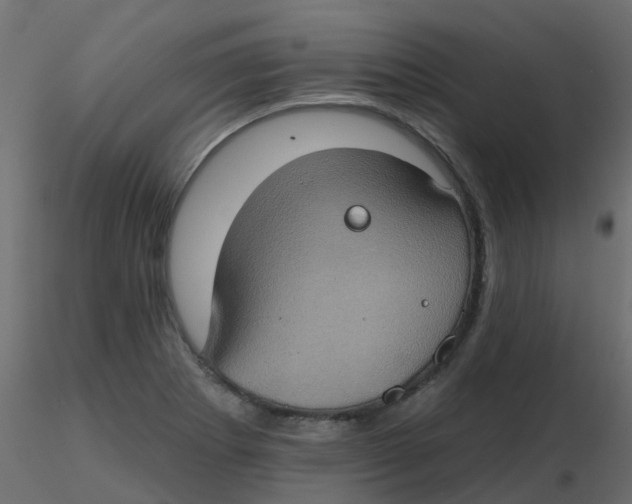 X0000116611273200912312110