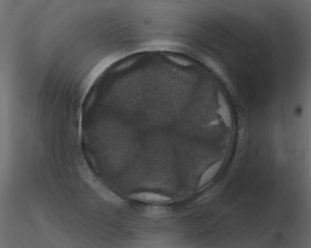 X0000116611275200912312110