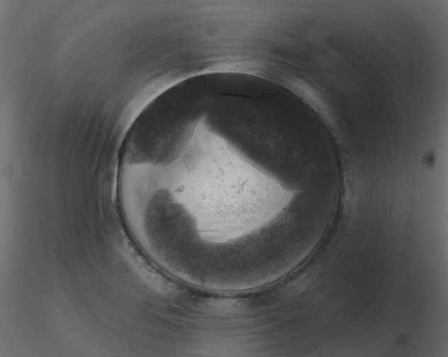 X0000116611276200912312110