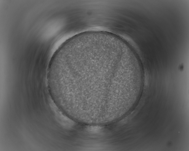 X0000116611278200912312110