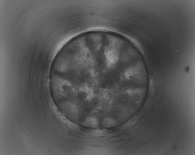 X0000116611279200912312110