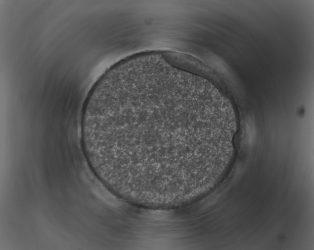 X0000116611280200912312110