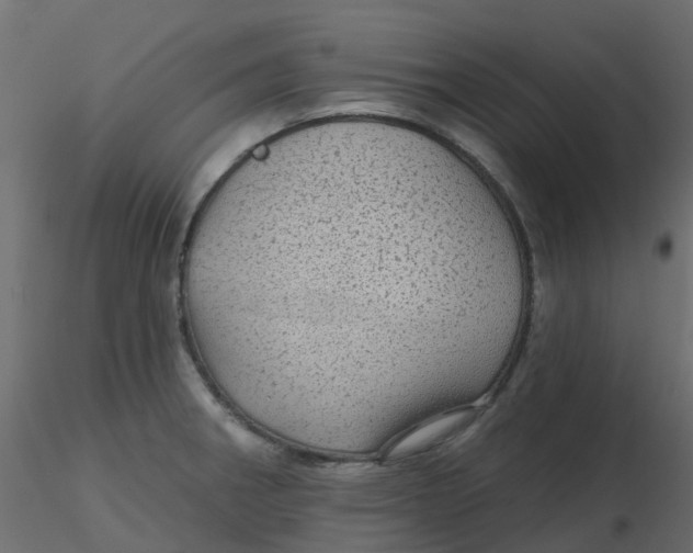 X0000116611282200912312110