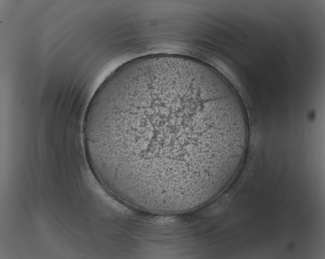 X0000116611283200912312110