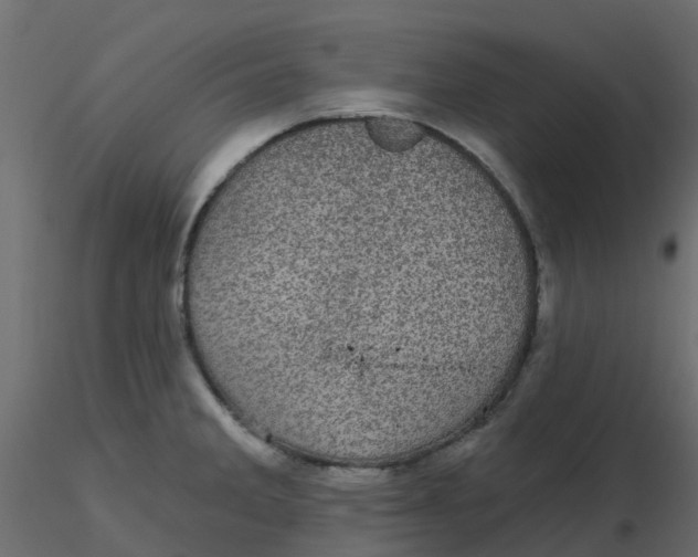 X0000116611285200912312110