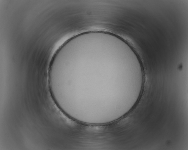 X0000116611286200912312110