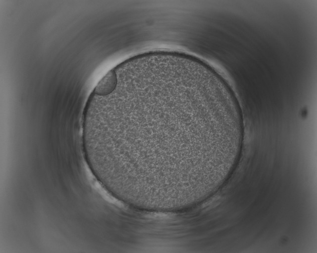 X0000116611287200912312110