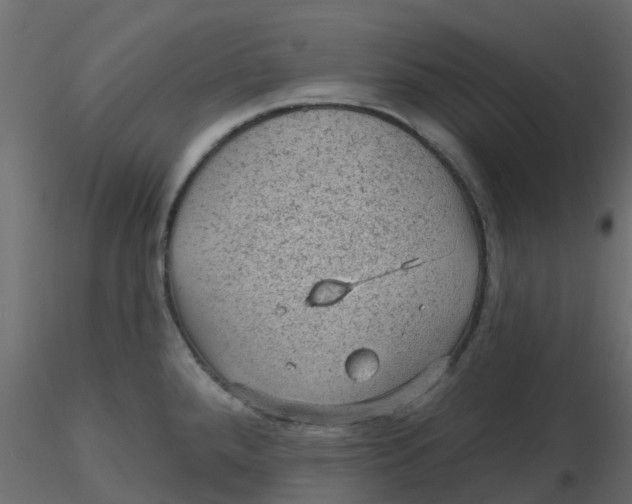 X0000116611288200912312110