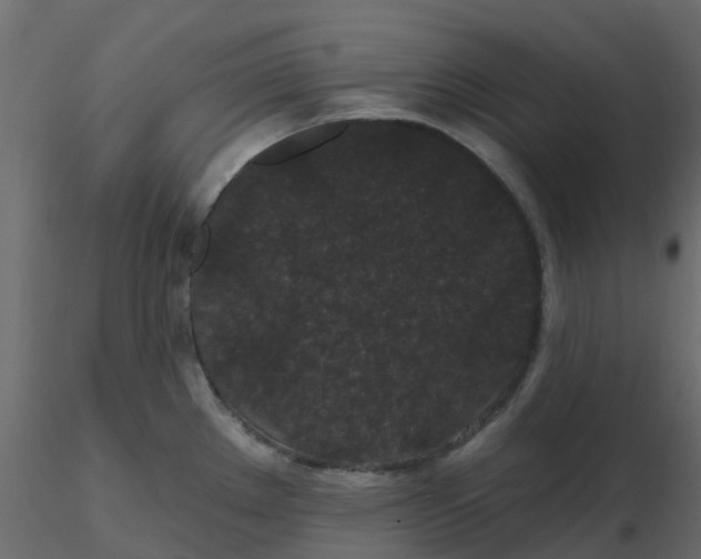 X0000116611289200912312110