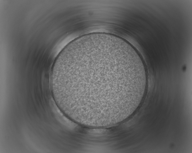 X0000116611290200912312110