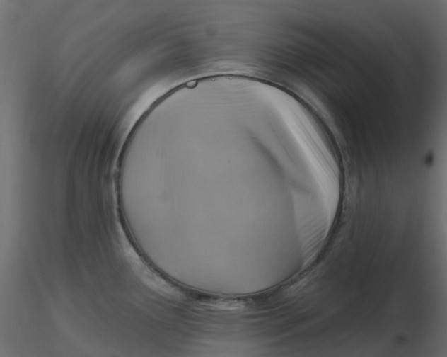 X0000116611291200912312110