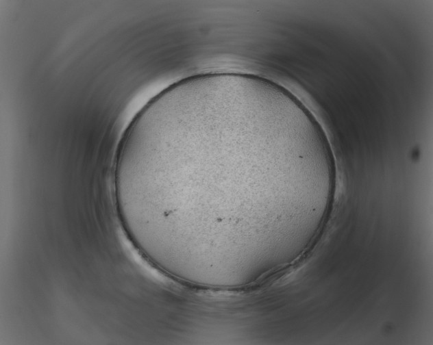 X0000116611293200912312110