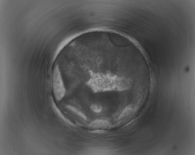 X0000116611295200912312110