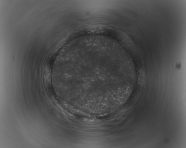 X0000116611298200912312109