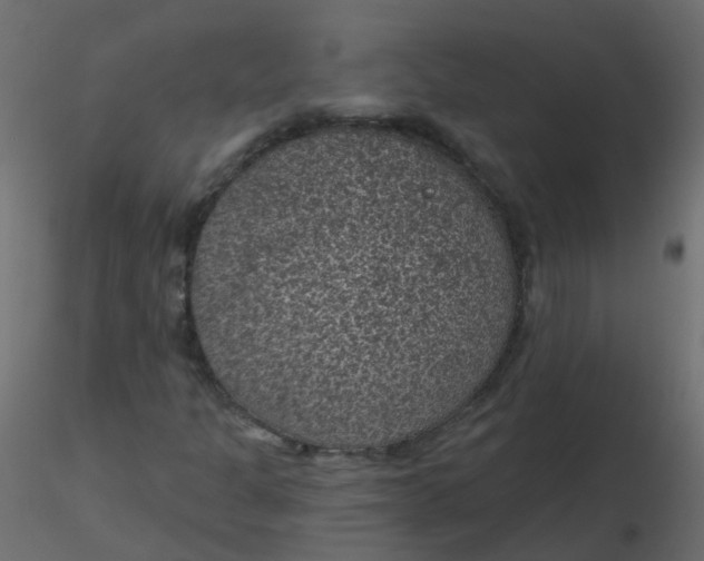 X0000116611301200912312109