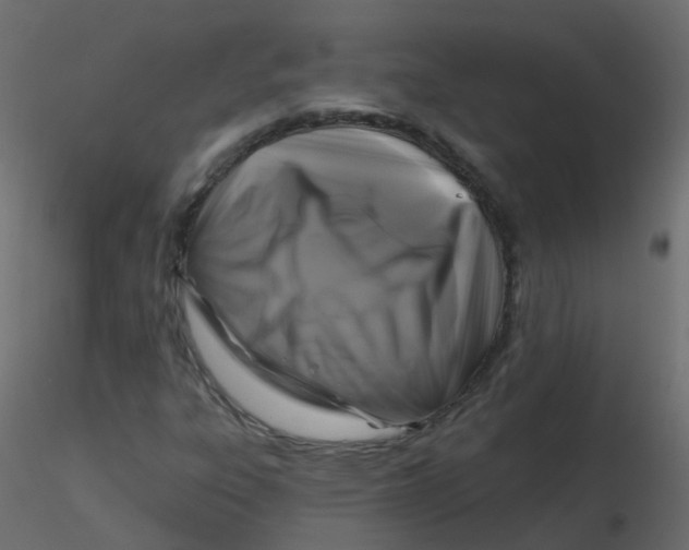 X0000116611303200912312109