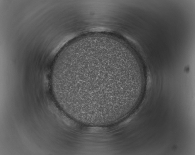 X0000116611305200912312109