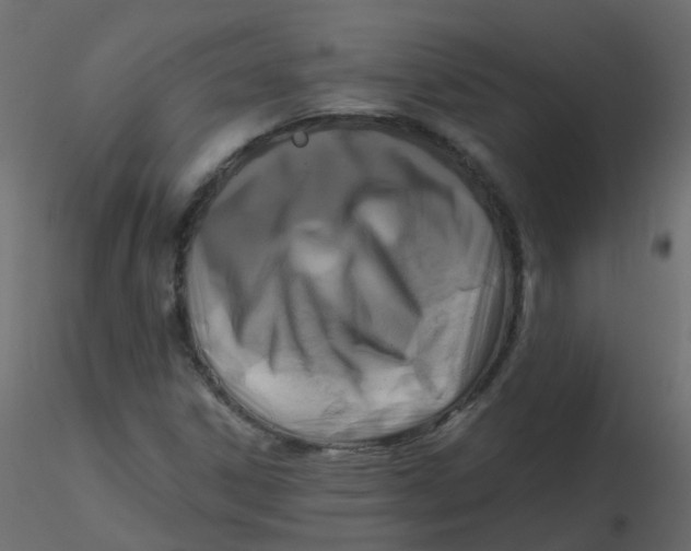 X0000116611306200912312109