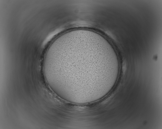 X0000116611309200912312109