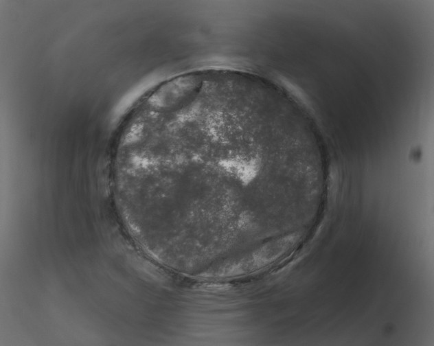 X0000116611310200912312109