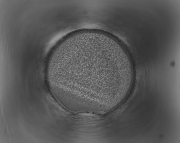 X0000116611311200912312109