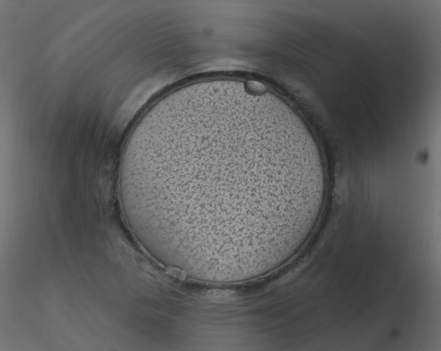 X0000116611313200912312109