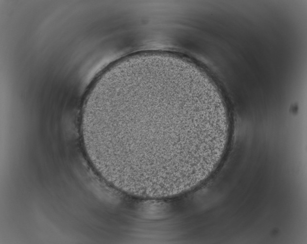 X0000116611314200912312109