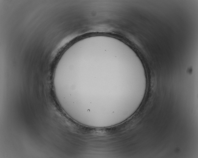 X0000116611315200912312109