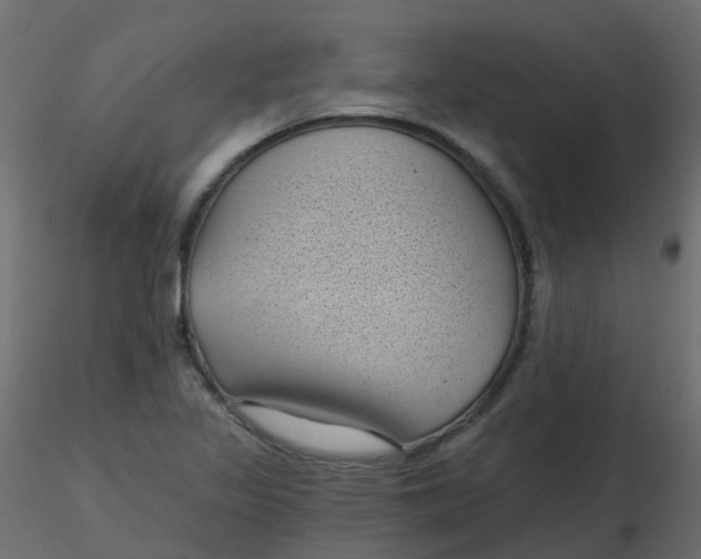 X0000116611317200912312109