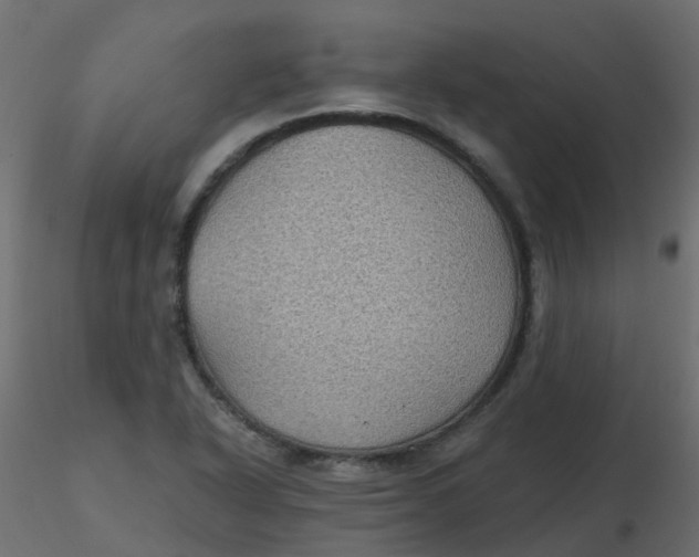 X0000116611318200912312109