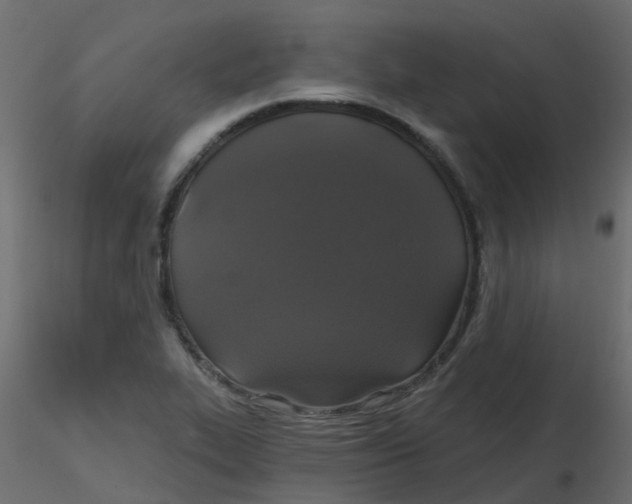 X0000116611319200912312110