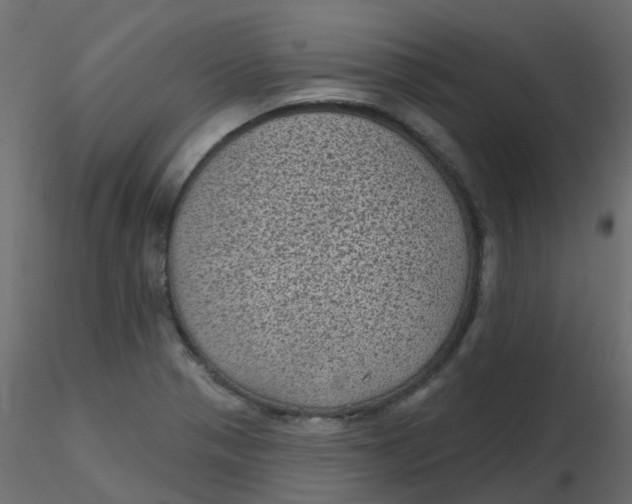 X0000116611321200912312110