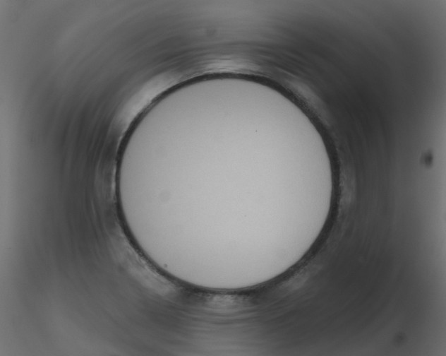 X0000116611322200912312110