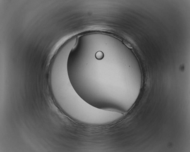 X0000116611323200912312110