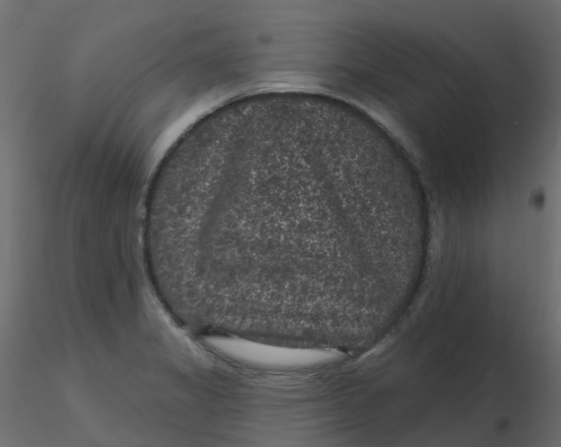 X0000116611325200912312110