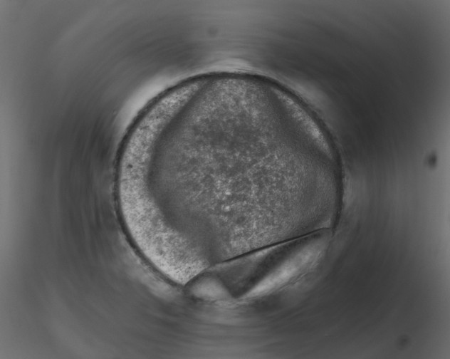 X0000116611326200912312110