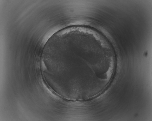 X0000116611329200912312110