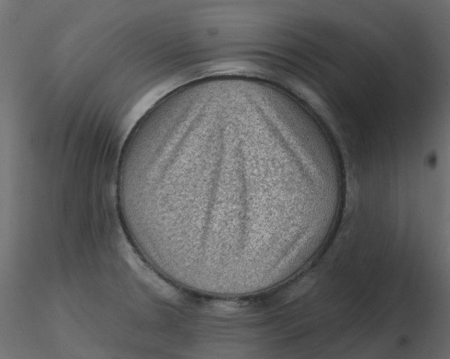 X0000116611330200912312110